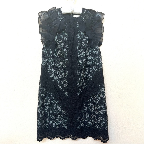 Rebecca Taylor NWOT SILK Sleeveless Floral Embroidery Ruffle Mini Dress B17/20 - Picture 4 of 16